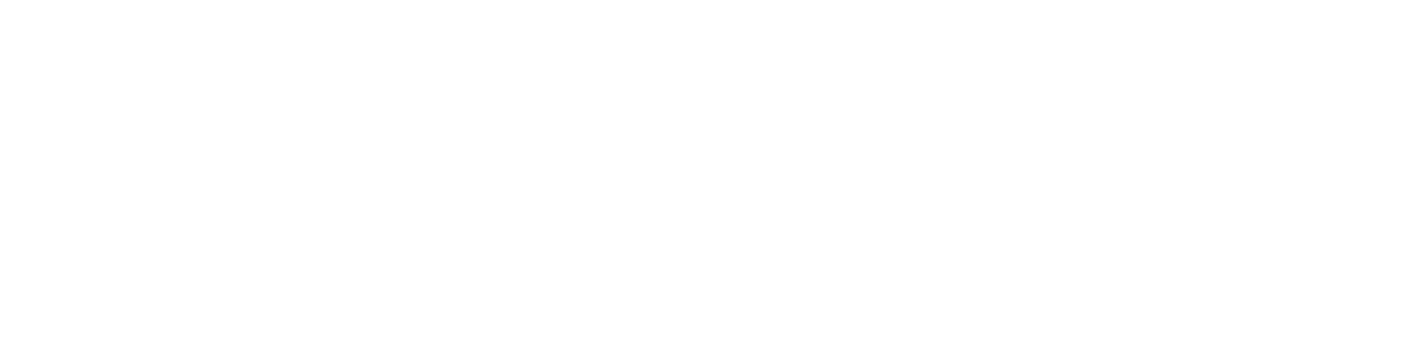 TriFusion Studios